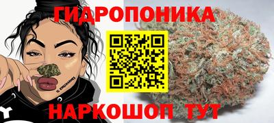 ГАЛЛЮЦИНОГЕННЫЕ ГРИБЫ Бузулук