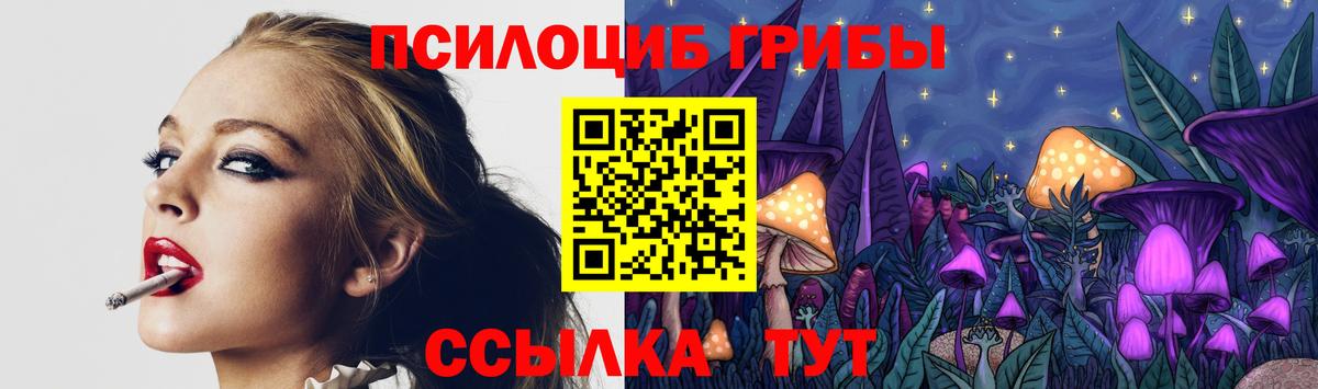 Галлюциногенные грибы прущие грибы Арзамас